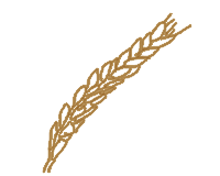 c03 Asentamientos Agrícolas