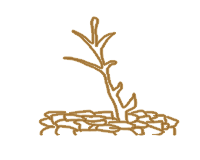c09 Ecocidio