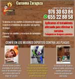 Tratamientos contra la Carcoma en Zaragoza