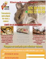 Eliminar ratas y ratones Zaragoza