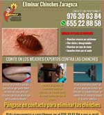 Eliminar Chinches en Zaragoza
