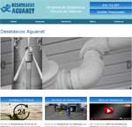Desatascos Aguanet (Valencia)