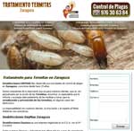 Microsite Tratamiento Termitas Zaragoza