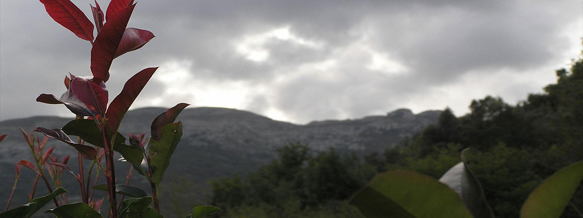 Cuevas cerca de Casa Rural Villa de Palacios