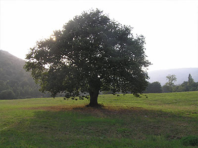 Gardens of the country cottage La Villa de Palacios in Cantabria (Spain)