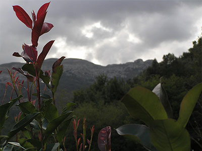 Gardens of the country cottage La Villa de Palacios in Cantabria (Spain)