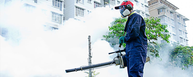 Control de plagas y legionella en Granada