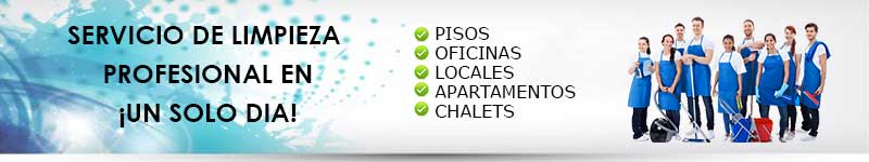 Limpiezas en Granada en un día